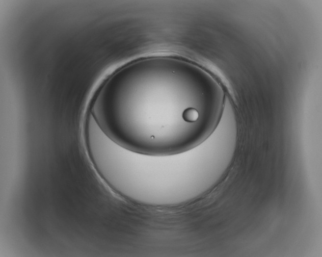 X0000112381472200908201512