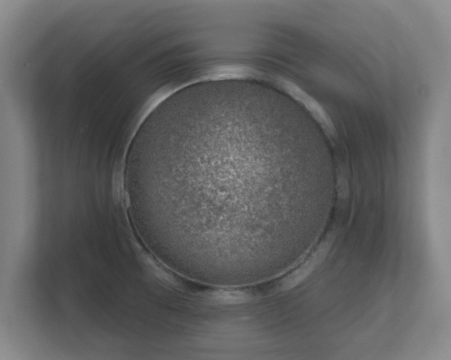 X0000112381473200908201512