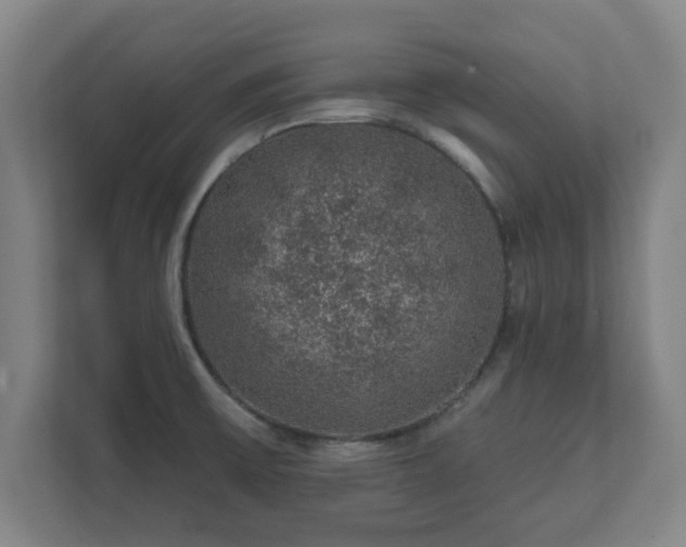 X0000112381475200908201512