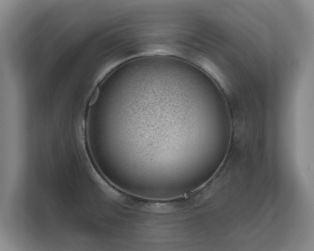 X0000112381476200908201512