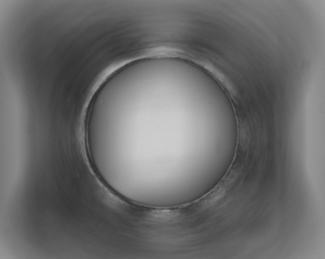 X0000112381478200908201512