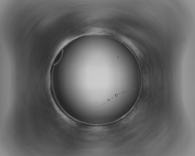 X0000112381479200908201512