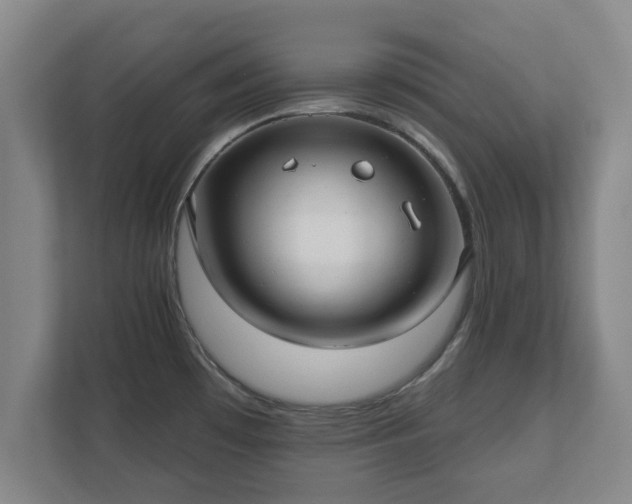 X0000112381481200908201512