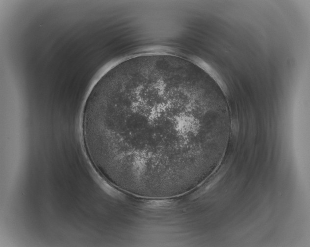 X0000112381482200908201512