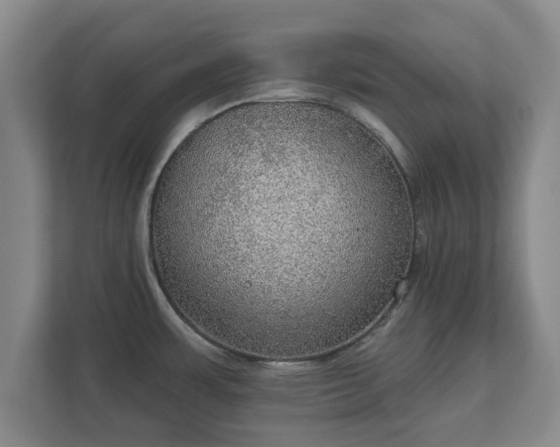 X0000112381483200908201512