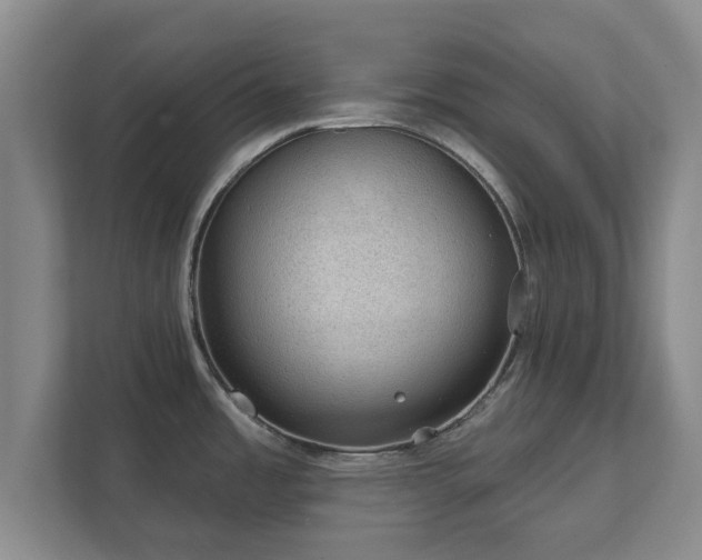 X0000112381485200908201512