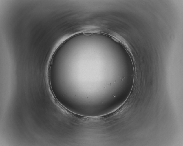 X0000112381488200908201512