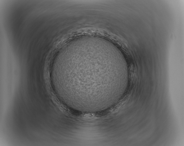 X0000112381489200908201511