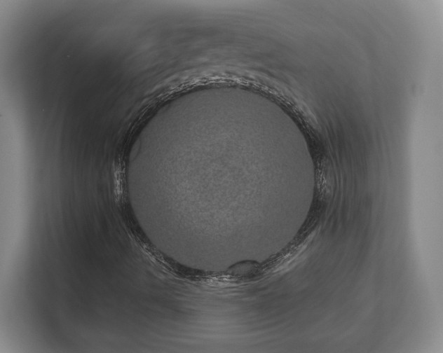 X0000112381490200908201511