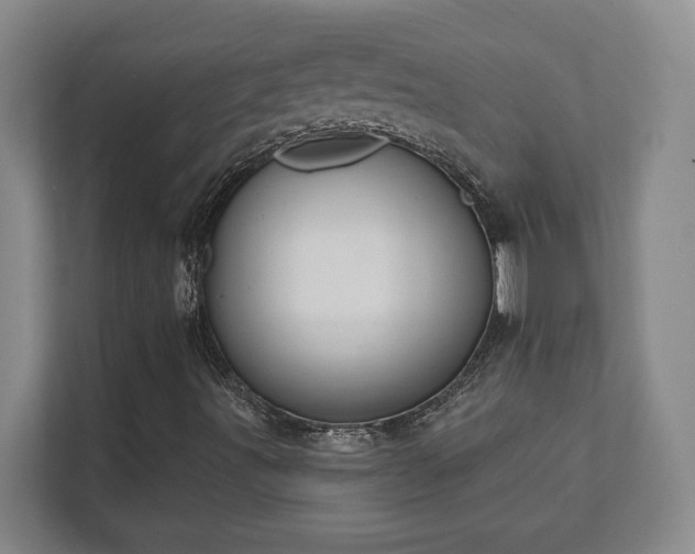 X0000112381491200908201511