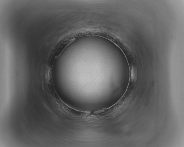 X0000112381492200908201511