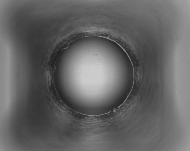 X0000112381493200908201511