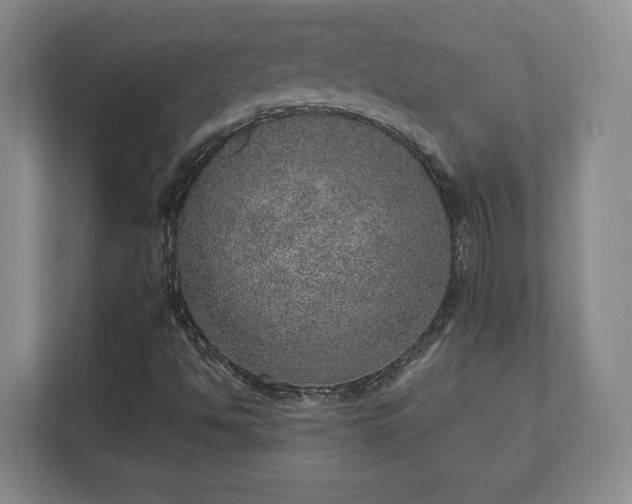 X0000112381494200908201511