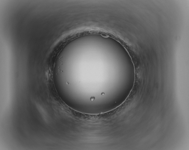 X0000112381495200908201511