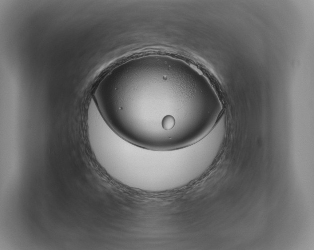 X0000112381496200908201511