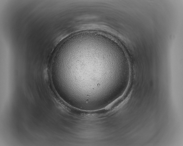 X0000112381497200908201511