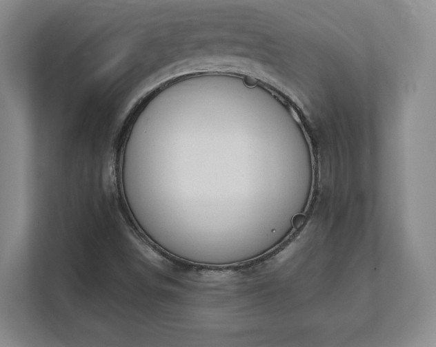 X0000112381498200908201511