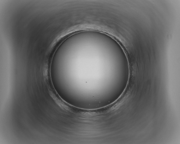 X0000112381499200908201512