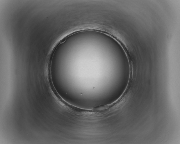 X0000112381500200908201512