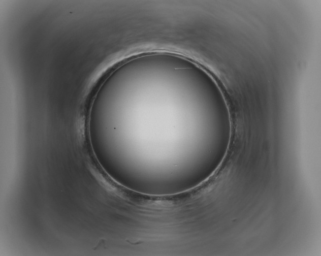 X0000112381503200908201512