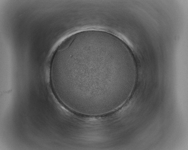 X0000112381504200908201512