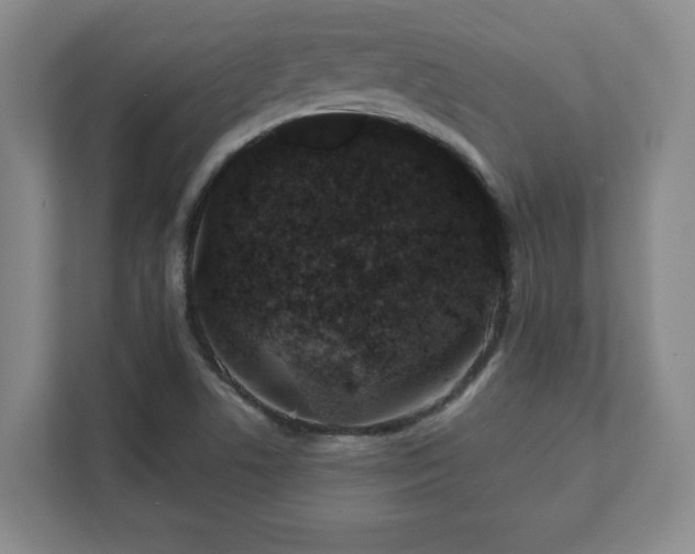 X0000112381506200908201512