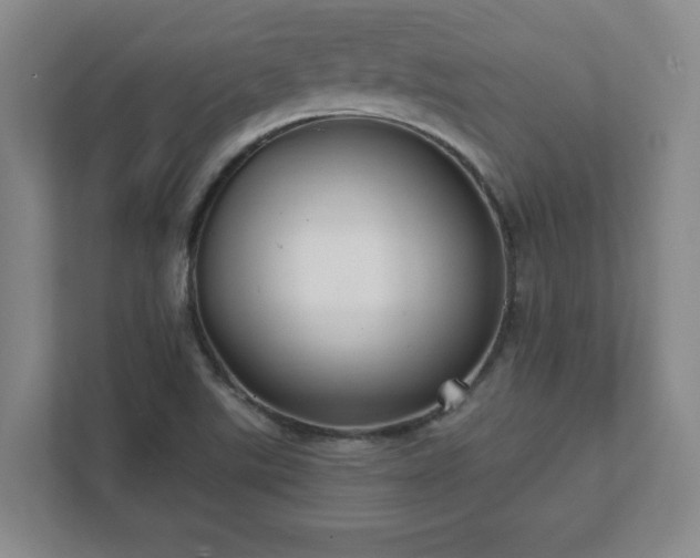 X0000112381507200908201512