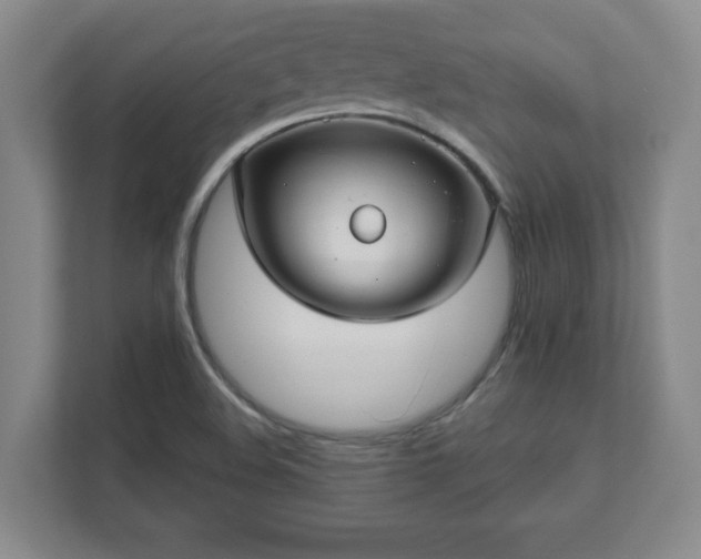 X0000112381508200908201512