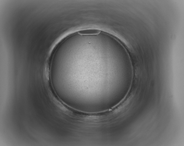 X0000112381510200908201512