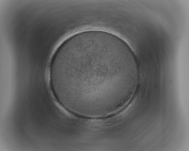 X0000112381511200908201512