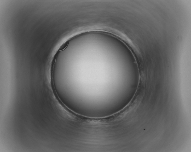 X0000112381512200908201512