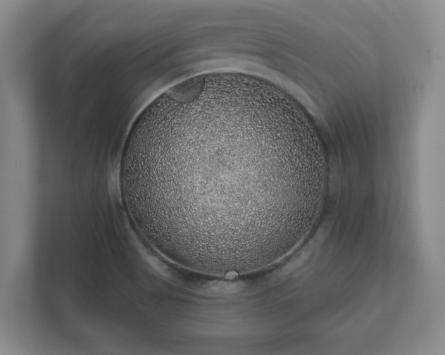 X0000112381513200908201512