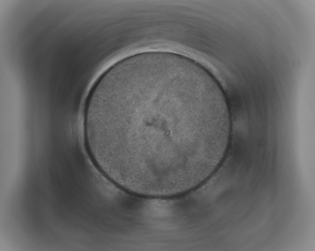 X0000112381514200908201512