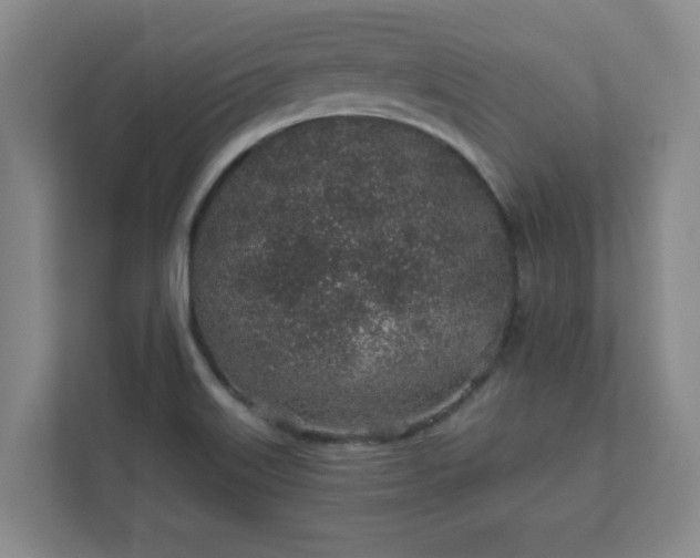 X0000112381515200908201512