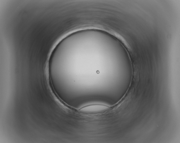 X0000112381516200908201512