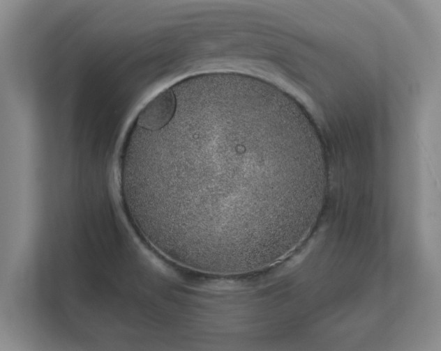 X0000112381517200908201512