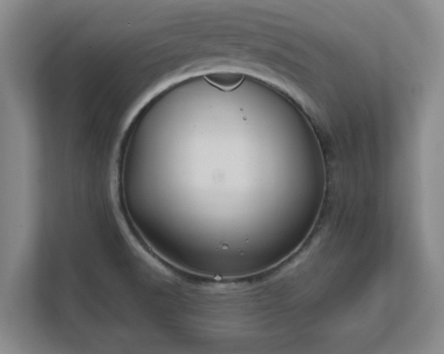 X0000112381518200908201512