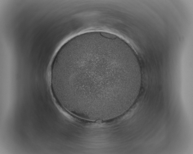 X0000112381519200908201512