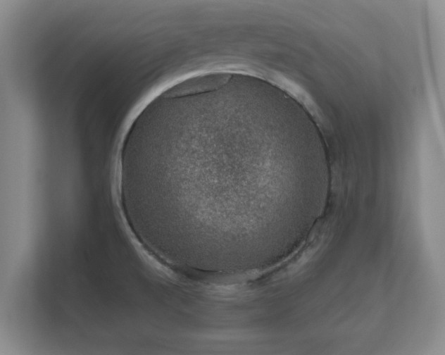 X0000112381520200908201512