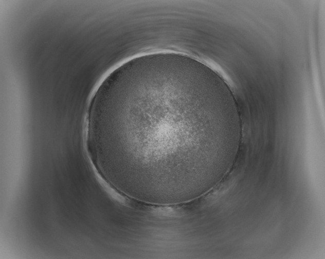 X0000112381524200908201512