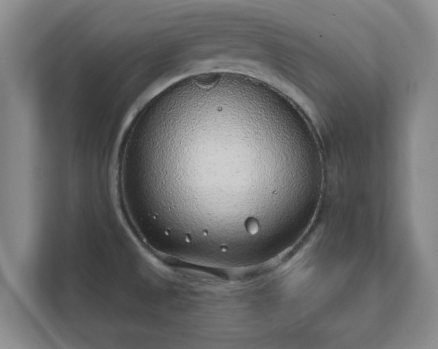 X0000112381525200908201512