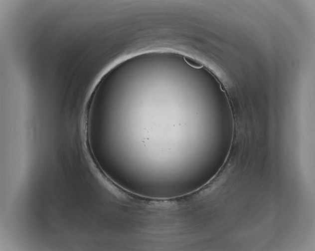 X0000112381526200908201512