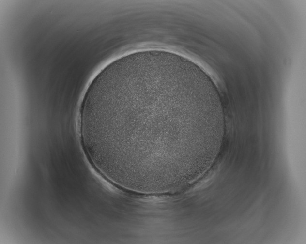 X0000112381527200908201512