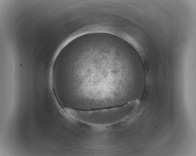 X0000112381528200908201512