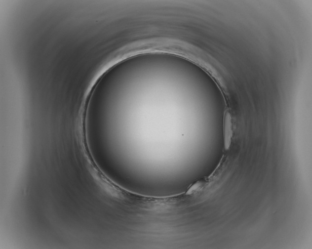 X0000112381530200908201512