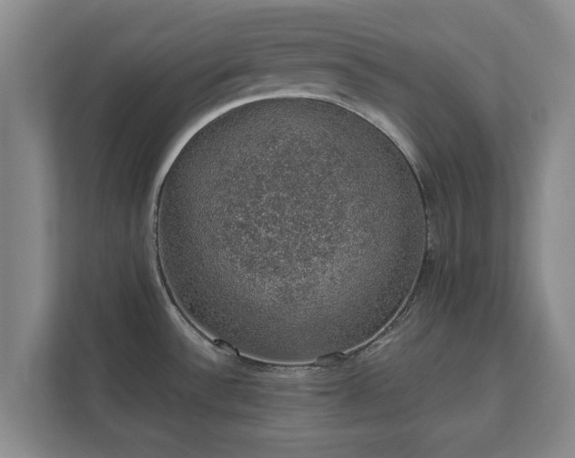 X0000112381532200908201512