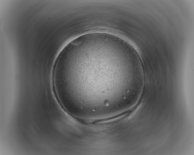 X0000112381533200908201512