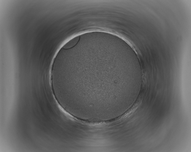 X0000112381535200908201512