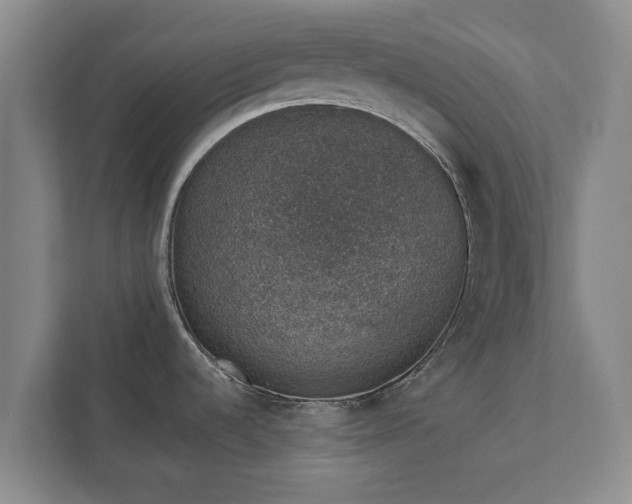 X0000112381536200908201512