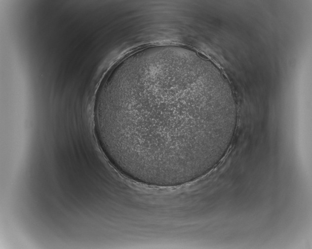 X0000112380002200908271329